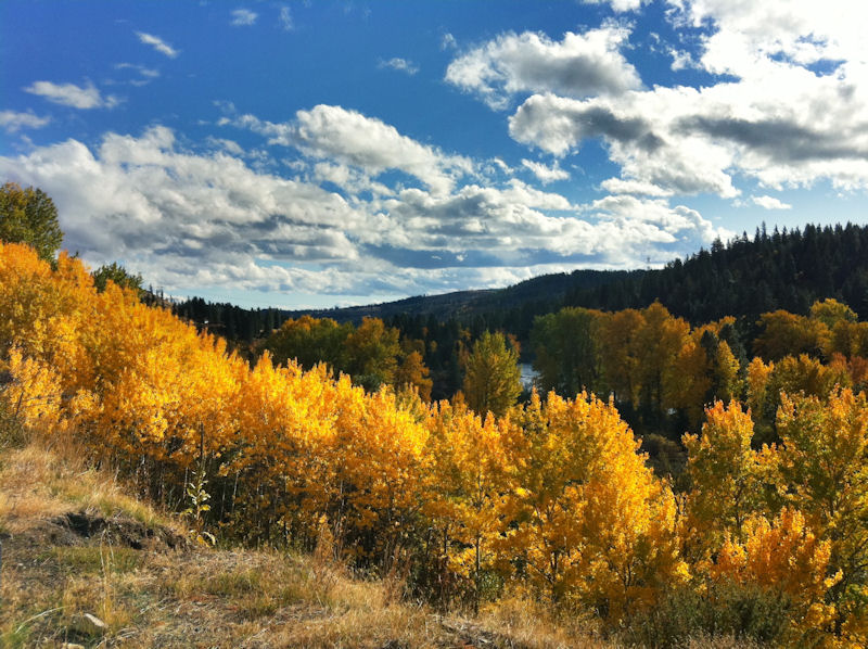 Fall Picture taken with ProHDR